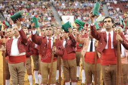 Imagens da corrida no Campo Pequeno  07-08-2014